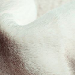 Tkanina Lapit 23 Tkanina Lapit 23